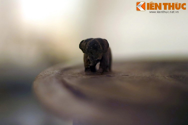 Con voi nhỏ cỡ hai ngón tay người lớn, có bốn chân được tạo hình tách rời, một chân trước hơi cong như đang di chuyển về phía trước, đôi tai, cặp ngà và vòi được thể hiện khá chi tiết.