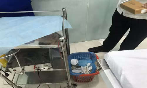 Vao “tham my chui”, tu ruoc hoa