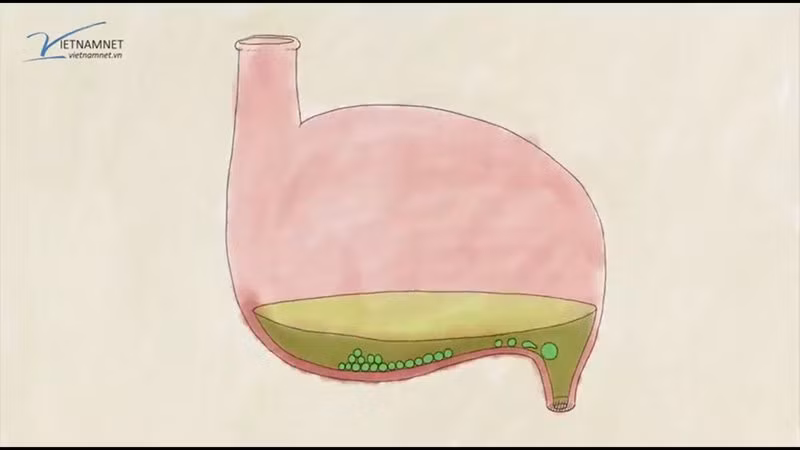 Kham pha “duong di” cua thuoc trong co the nguoi