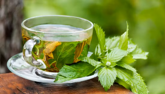 Trà cũng kích thích dòng mật để tăng tỷ lệ và hiệu quả của việc tiêu hóa và thúc đẩy sự vận chuyển ruột khỏe mạnh. Tiêu chảy, hội chứng ruột kích thích và táo bón có thể được cải tiến với loại trà này.