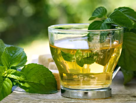 Cải thiện tiêu hoá: Trà bạc hà cải thiện tiêu hóa, như là một chất bổ sung chế độ ăn kiêng. Trà có tác dụng giúp di chuyển khí qua cơ thể, tránh làm nó tích tụ gây ra đầy hơi và khó chịu dạ dày.