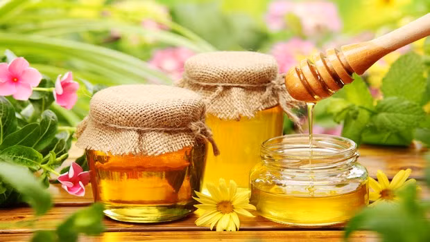 4. Mật ong: Mật ong là một trong những cách hiệu quả nhất để điều trị bỏng bởi vì nó có thể chữa lành vết bỏng và vết thương do đặc tính chống viêm và kháng khuẩn. Mật ong có thể giúp nhanh liền sẹo và sau đây là cách sử dụng mật ong cho vết bỏng: sử dụng một miếng băng và thoa mật ong vào, sau đó bạn đắp lên vùng da bị bỏng. Để vài giờ và thay băng 3-4 lần mỗi ngày.