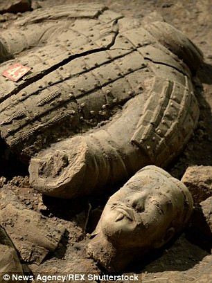 Các nhà nghiên cứu ước tính rằng, dự án khảo cổ mới này ẽ có thể mở đường cho việc phát hiện thêm hơn 1.300 chiến binh và 90 cỗ chiến xa. Họ cũng hy vọng sẽ tìm thấy thêm một số tượng chiến binh nước ngoài.