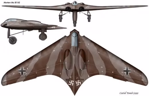 Horten Ho 229 được coi là máy bay ném bom tàng hình đầu tiên trên thế giới. Nó được trang bị động cơ phản lực. Anh em nhà Horten đã phát triển mẫu máy bay này.