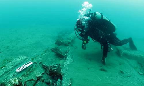 Nuestra Señora de Encarnación là một tàu chở hàng, tàu buôn của Tây Ban Nha. Tàu đắm thế kỷ 17 này bị nhấn chìm trong một cơn bão lớn năm 1681 ở cửa sông Chagres, Panama.