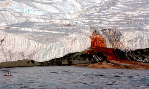 Giai ma nguon goc “thac mau” bi an o Nam Cuc