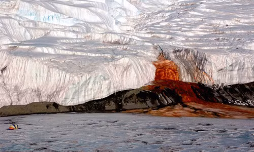 Giai ma nguon goc “thac mau” bi an o Nam Cuc