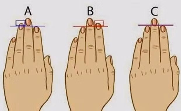 Kích thước ngón nhẫn so với ngón trỏ rơi vào ba trường hợp: ngón nhẫn có kích thước dài hơn hay nhỏ hơn so với ngón trỏ hay ngón trỏ và ngón nhẫn có kích thước bằng nhau.