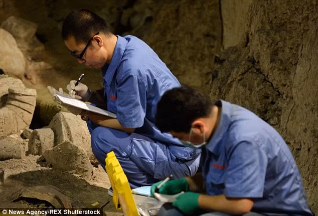 Ông Yuan Zhongyi - người dẫn đầu cuộc khai quật trên cho biết: "Những bức tượng mới được phát hiện ở hai hố chôn cất được bảo quản khá tốt. Đó là tượng các cung thủ, kỵ binh và binh sĩ".