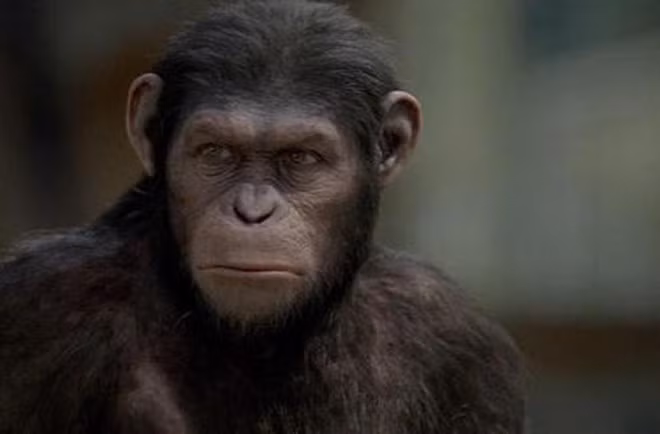 Kết quả thí nghiệm nhằm tạo ra Humanzee - sinh vật lai tạo giữa con người và tinh tinh của nhà khoa học Nga Ivanov đã thất bại.