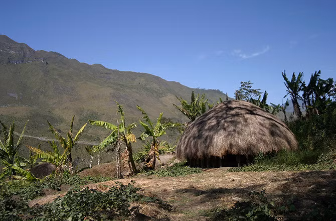 Để chống lại những ảnh hưởng xấu xa của các phù thủy ăn tử thi từ trong ra ngoài, các thành viên của bộ tộc Korowai sẽ ăn thịt người chết để trả thù thù phủy xấu xa. Không chỉ ăn thịt người qua đời một cách tự nhiên, người Korowai còn giết và ăn thịt kẻ thù.