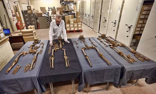 Chuyên gia Don Walker tiến hành nghiên cứu bốn bộ xương được phát hiện tại khu vực khảo cổ ở giữa lòng thủ đô Moscow.