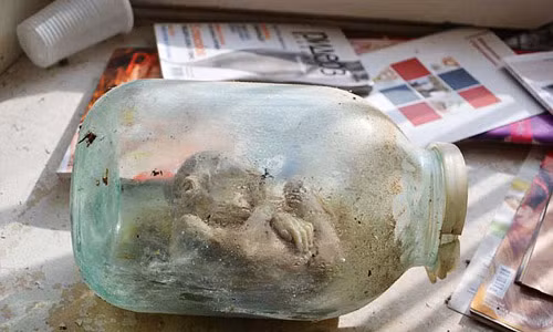 Những vết sẹo trên xác ướp vẫn còn khá rõ nên cơ quan điều tra cho rằng cơ sở thí nghiệm bệnh lý này mới bị bỏ hoang cách đây không lâu, được dự đoán khoảng ba năm trước.