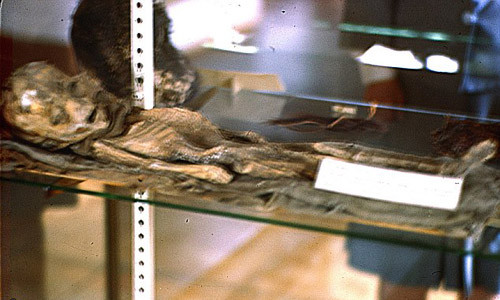 Anh moi cong bo: Xac nguoi ngoai hanh tinh o Roswell