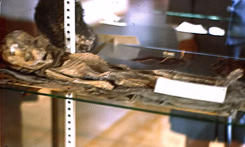 Anh moi cong bo: Xac nguoi ngoai hanh tinh o Roswell