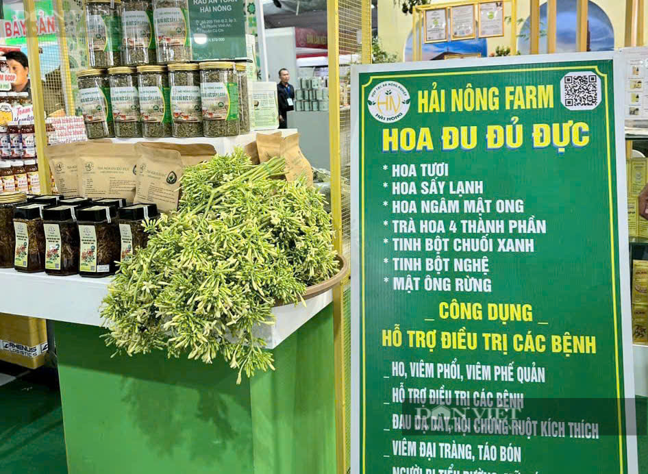 Hiện, anh Hải đang bán giá bông đủ đủ tươi 80.000 - 100.000 đồng/kg. Giá bông đu đủ ngâm mật ong 100.000 đồng/hủ (500ml), 200.000 đồng (1l). Giá bông đu đủ sấy lạnh 150.000 đồng/bịch (300g), khoảng 500.000 đồng/kg. Anh Hải cũng đang chế biến sâu bông đu đủ để làm trà và dược liệu. Giá sản phẩm đu đủ làm trà túi lọc 4 thành phần 150.000 đồng/hộp (25 túi/hộp).