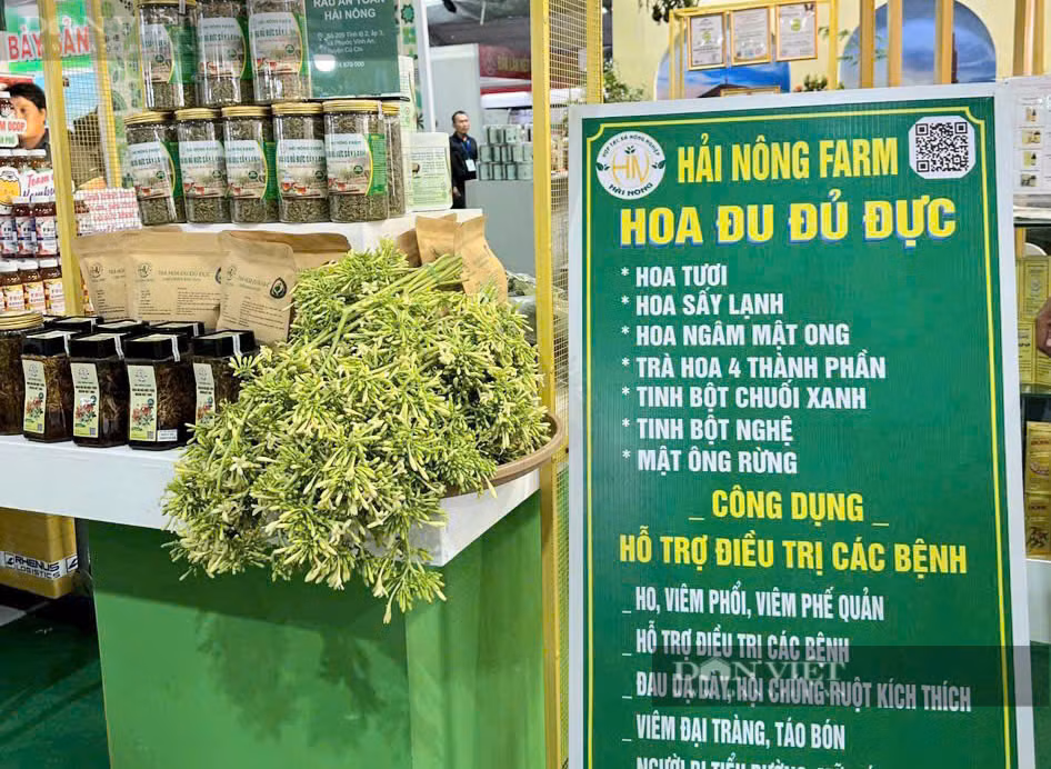 Hiện, anh Hải đang bán giá bông đủ đủ tươi 80.000 - 100.000 đồng/kg. Giá bông đu đủ ngâm mật ong 100.000 đồng/hủ (500ml), 200.000 đồng (1l). Giá bông đu đủ sấy lạnh 150.000 đồng/bịch (300g), khoảng 500.000 đồng/kg. Anh Hải cũng đang chế biến sâu bông đu đủ để làm trà và dược liệu. Giá sản phẩm đu đủ làm trà túi lọc 4 thành phần 150.000 đồng/hộp (25 túi/hộp).