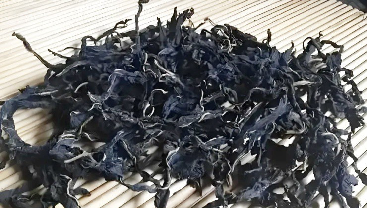 Loại lá quen thuộc ở quê cứ phơi khô là hốt bạc - Hình 2 Loai la quen thuoc o que cu phoi kho la hot bac-Hinh-2