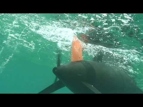 Hãng Teledyne Benthos, nơi nghiên cứu chế tạo Slocum Glider, mô tả: "UUV Slocum Glider mang theo nhiều loại cảm biến khác nhau, chúng có thể được lập trình để tuần tra trong nhiều tuần, trồi lên mặt nước để truyền dữ liệu trong khi tải xuống những mệnh lệnh mới".