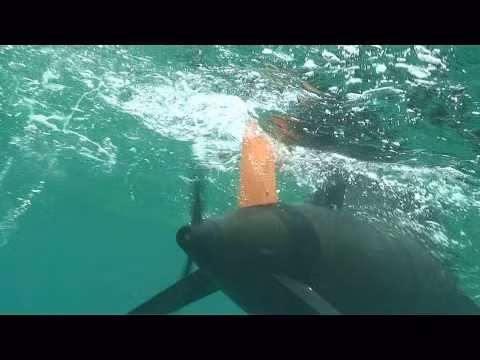 Hãng Teledyne Benthos, nơi nghiên cứu chế tạo Slocum Glider, mô tả: "UUV Slocum Glider mang theo nhiều loại cảm biến khác nhau, chúng có thể được lập trình để tuần tra trong nhiều tuần, trồi lên mặt nước để truyền dữ liệu trong khi tải xuống những mệnh lệnh mới".