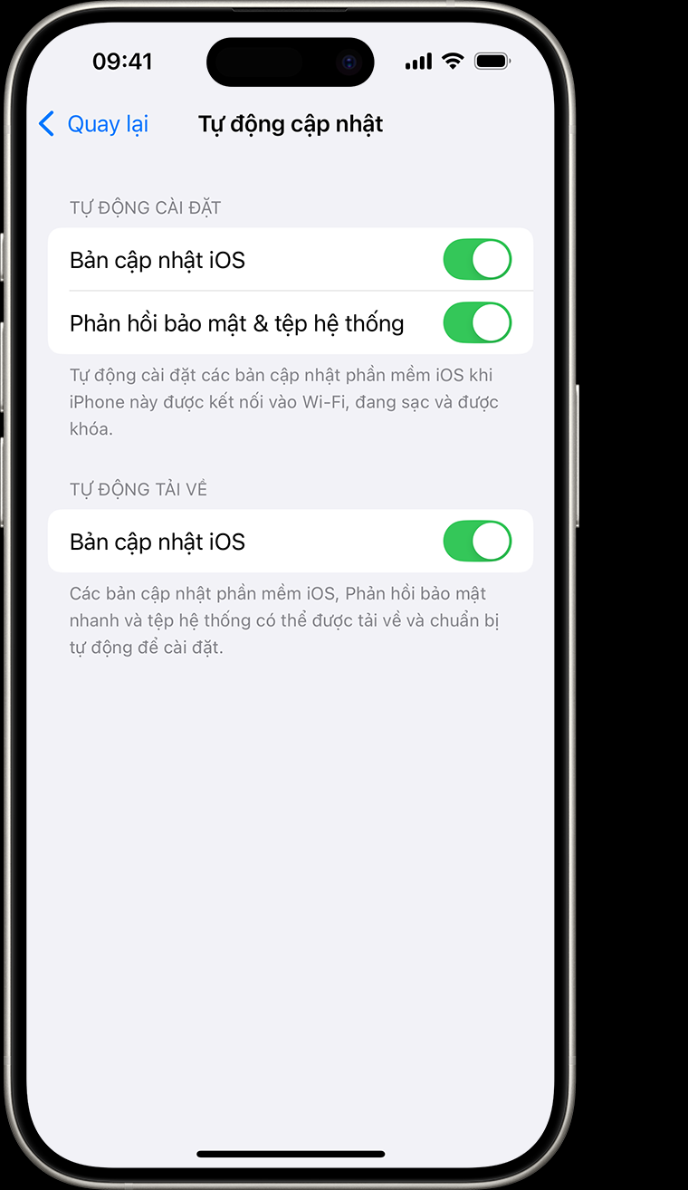 3. Cập nhật phần mềm thường xuyên: Thực hiện tại Cài đặt chung &gt; Cập nhật phần mềm.(Ảnh: Apple Support)