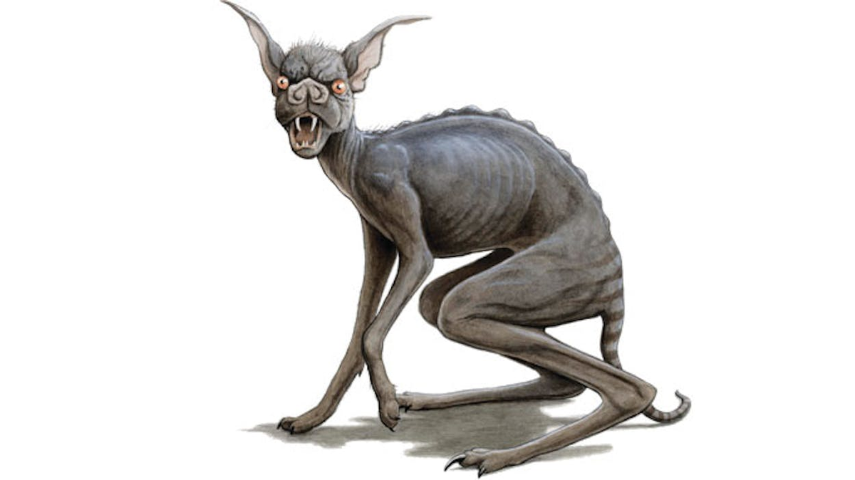 Một số nghiên cứu khoa học lại khẳng định rằng các "Chupacabra" thực chất là chó, cáo hoặc sói đồng cỏ bị mắc bệnh ghẻ hoặc dại, dẫn đến ngoại hình kỳ lạ và hành vi bất thường.(Ảnh: Texas Monthly)