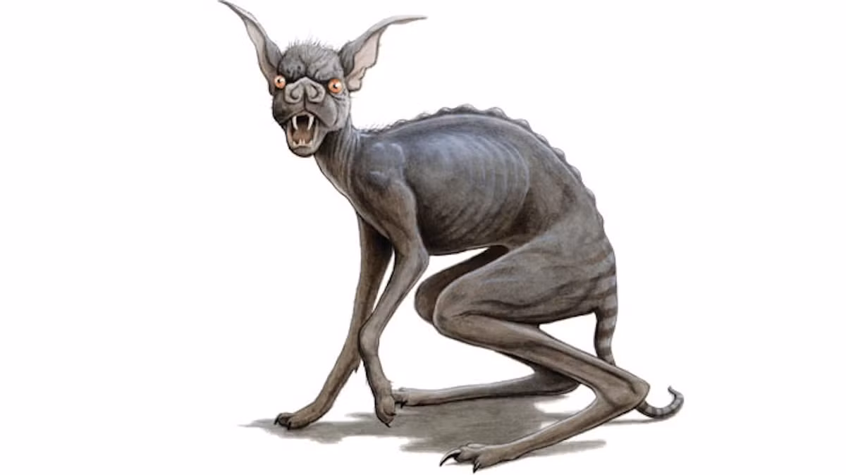 Một số nghiên cứu khoa học lại khẳng định rằng các "Chupacabra" thực chất là chó, cáo hoặc sói đồng cỏ bị mắc bệnh ghẻ hoặc dại, dẫn đến ngoại hình kỳ lạ và hành vi bất thường.(Ảnh: Texas Monthly)