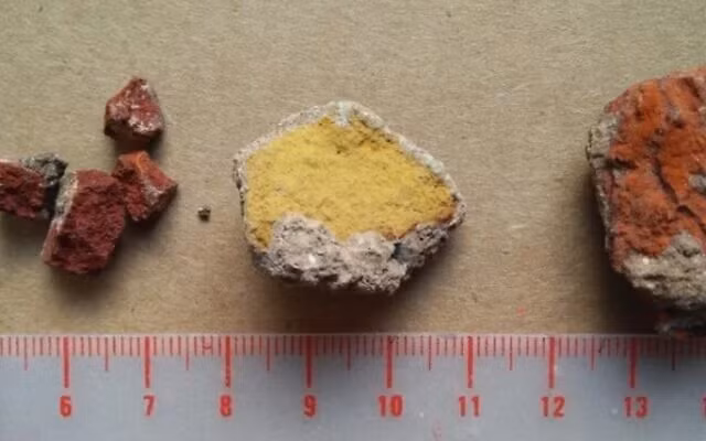 Hài cốt có đặc điểm giải phẫu khác biệt hoàn toàn, được chôn theo tư thế bào thai kèm đất son đỏ, thể hiện nghi lễ mai táng sơ khai. (Ảnh: Yossi Zaidner/timesofisrael)