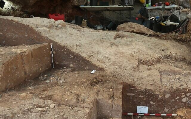Sự tương đồng trong nghi thức và công cụ với Neanderthal và Homo sapiens hé lộ sự giao thoa văn hóa sâu sắc kéo dài hàng chục ngàn năm.(Ảnh: Yossi Zaidner/timesofisrael)