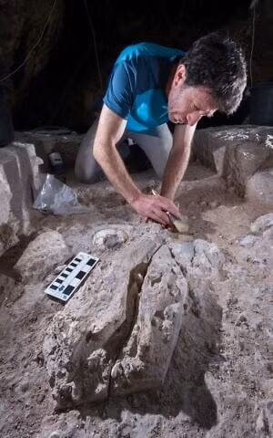 Các công cụ đá tinh xảo theo kỹ thuật Levallois và xương động vật lớn cho thấy trình độ săn bắt và chế tác cao. (Ảnh: Yossi Zaidner/timesofisrael)