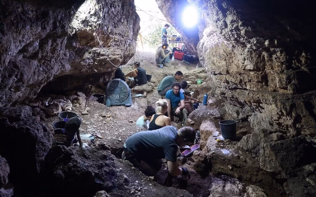 Phát hiện này được cho là thuộc một loài người bí ẩn thứ ba, từng sống song song với Homo sapiens và Neanderthal ở khu vực Nam Levant.(Ảnh: Yossi Zaidner/timesofisrael)