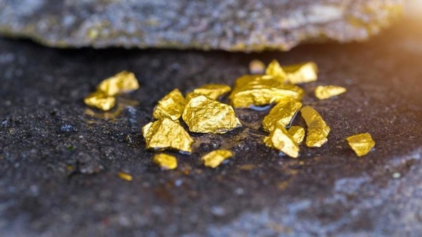 Các mỏ vàng này phân bố chủ yếu ở Lào Cai, Yên Bái, Sơn La, Lai Châu và một số huyện miền Tây Thanh Hóa, Nghệ An. (Ảnh: markettimes.vn)