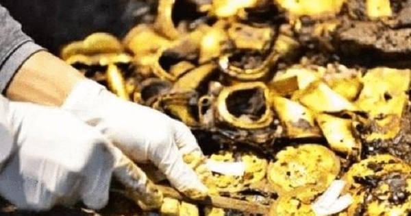 Ông Hoàng được khen ngợi vì đã đặt di sản quốc gia lên trên lợi ích cá nhân và được thưởng một chiếc máy kéo.