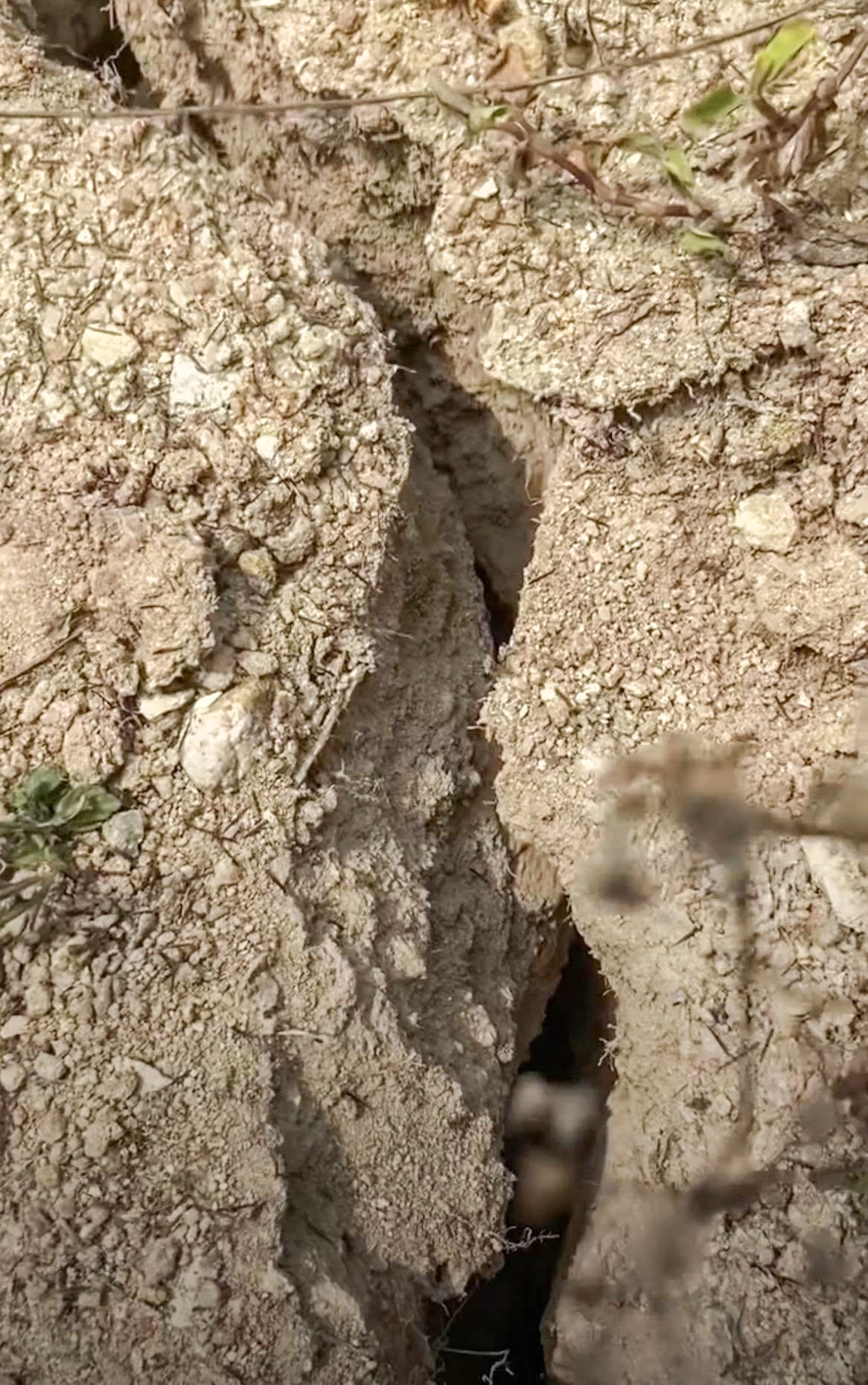 Đến khoảng 7 giờ 30 ngày 8/4, người dân ở gần đó tiếp tục nghe nhiều tiếng nổ như hôm trước. Khi họ lại gần thì phát hiện vết nứt đã lan rộng, khe nứt cũng lớn hơn hôm 7/4.