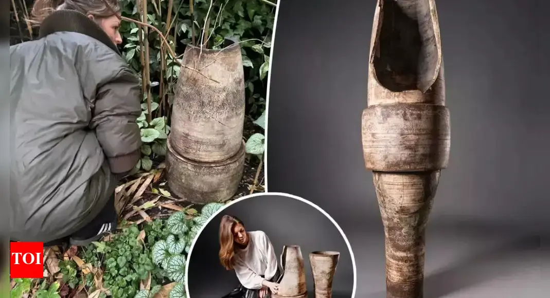 Cuộc đấu giá diễn ra căng thẳng, thu hút sự quan tâm từ Mỹ, Đan Mạch và một đại gia nữ giấu tên. (Ảnh: Times of India)