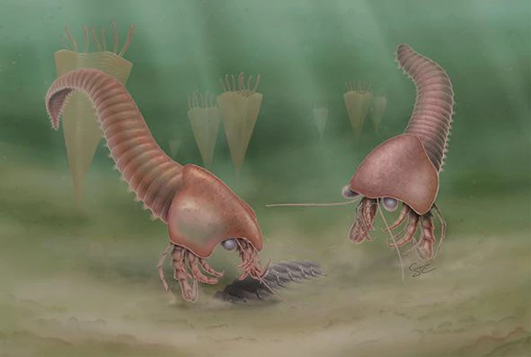 Sue sống sót qua một trong 5 đợt đại tuyệt chủng của Trái Đất, khi khoảng 85% loài sinh vật bị xóa sổ. (Ảnh: Dinopedia)