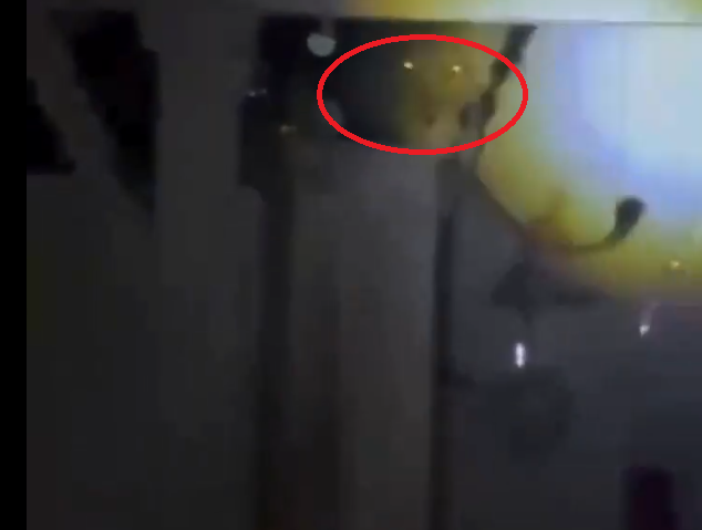 Theo các cán bộ kiểm lâm, đây là một trong sáu cá thể sư tử thường xuyên lang thang vào khu dân cư để tìm thức ăn, do khu vực gần rừng và ven biển.