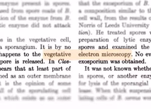 Các nhà khoa học cảnh báo rằng nếu không kiểm duyệt dữ liệu đầu vào, AI sẽ tiếp tục khuếch đại các lỗi sai như vậy, gây nguy hại cho tri thức khoa học trong tương lai. (Ảnh: Pivot to AI)