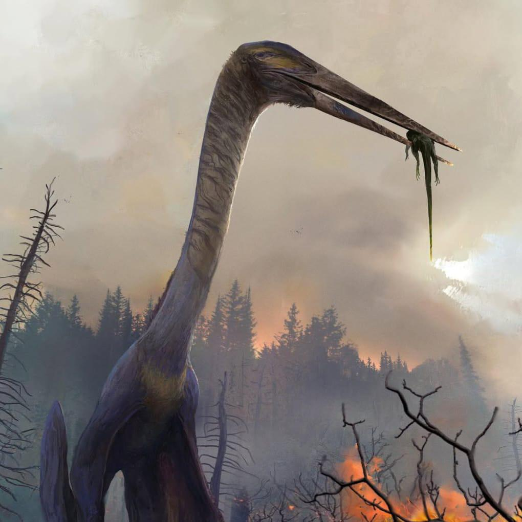 Hóa thạch loài này được tìm thấy tại Hell Creek, Montana, có niên đại khoảng 67 triệu năm, thuộc cuối kỷ Phấn Trắng.(Ảnh: Reddit)