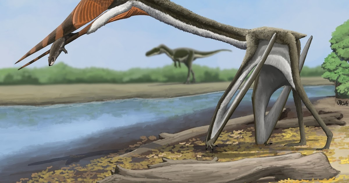 Loài này có chiếc cổ dài như giáo mác và vẻ ngoài dữ tợn, được xếp vào họ Azhdarchidae – nhóm dực long lớn nhất từng tồn tại.(Ảnh: Species New to Science)