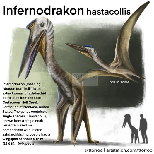 “Rồng địa ngục” được cho là một kẻ săn mồi đáng gờm, thống trị bầu trời cổ đại với hình dạng kỳ dị và sức mạnh đáng sợ.(Ảnh: Facebook)