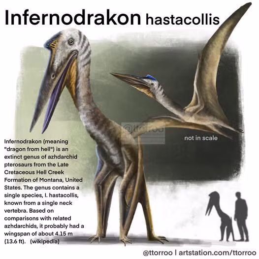 “Rồng địa ngục” được cho là một kẻ săn mồi đáng gờm, thống trị bầu trời cổ đại với hình dạng kỳ dị và sức mạnh đáng sợ.(Ảnh: Facebook)