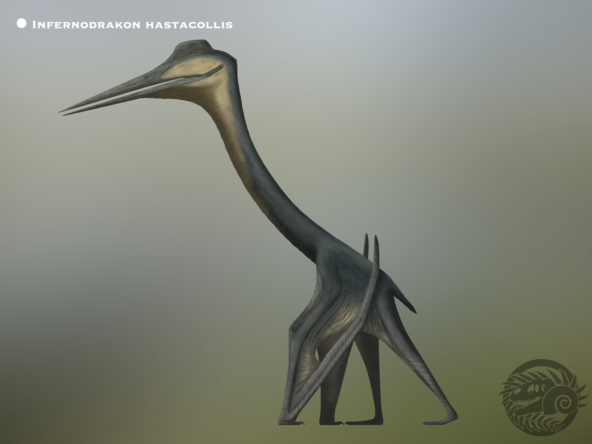 Với sải cánh từ 3–4 mét, Infernodrakon tuy nhỏ hơn họ hàng Quetzalcoatlus nhưng vẫn vượt xa kích thước mọi loài chim hiện nay.(Ảnh: DeviantArt)