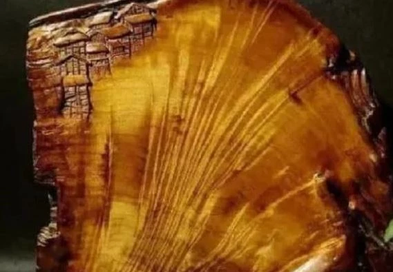 Tại Tứ Xuyên, Trung Quốc, một chàng trai trẻ bất ngờ tìm thấy chiếc thớt gỗ cũ kỹ trong góc bếp khi dọn di vật của ông nội. Dù ban đầu được giữ lại vì ý nghĩa tình cảm, anh quyết định mang thớt đi thẩm định và nhận được kết quả đáng kinh ngạc: chiếc thớt này là một " báu vật" vi nó được làm từ gỗ kim tơ nam mộc, một loại gỗ quý hiếm từng được dùng chế tác nội thất hoàng gia.