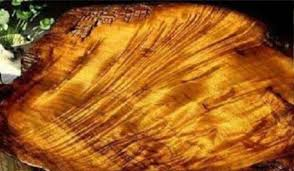 Các chuyên gia định giá chiếc thớt cao gấp hàng vạn lần so với thớt thông thường, có thể giúp chủ nhân đổi đời. Tuy nhiên, chàng trai quyết định giữ chiếc thớt làm báu vật gia truyền, coi đây là biểu tượng cho truyền thống, ký ức và giá trị văn hóa gia đình. Anh hy vọng sẽ truyền lại món đồ này cho các thế hệ sau, như cách ông nội từng trân trọng qua bao năm tháng.