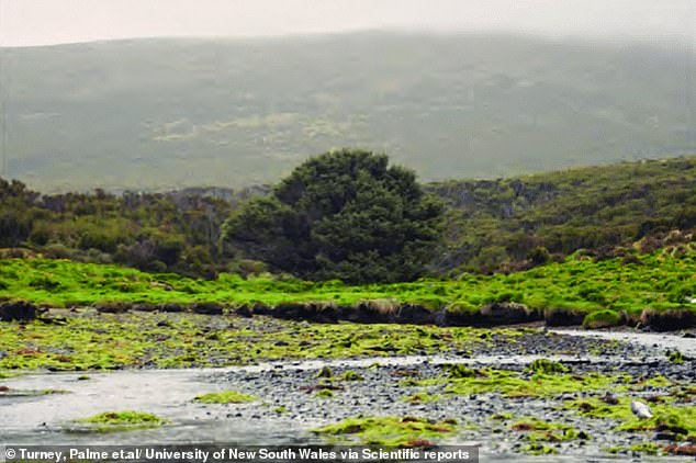 Mục tiêu nghiên cứu là tìm hiểu các bể chứa carbon có đang dần đầy và tác động của chúng tới biến đổi khí hậu. (Ảnh: dailymail)