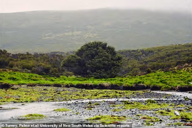 Mục tiêu nghiên cứu là tìm hiểu các bể chứa carbon có đang dần đầy và tác động của chúng tới biến đổi khí hậu. (Ảnh: dailymail)