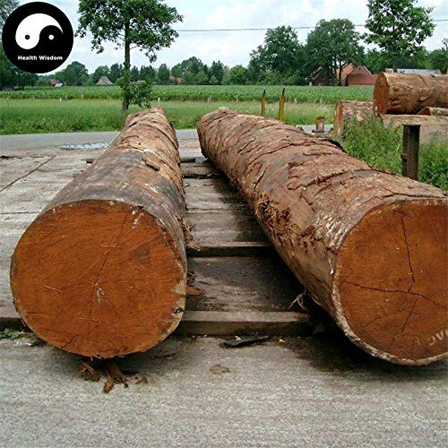 Hiện nay, giá gỗ lim xanh dao động từ 20 – 30 triệu đồng/m³ và luôn ổn định. (Ảnh: Amazon)