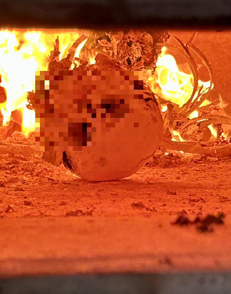 Âm thanh có thể khiến người chứng kiến sợ hãi, nhưng giống như tiếng nứt của cành cây cháy – thuần túy vật lý.