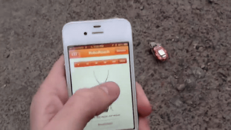 Dù chưa tìm được người sống sót trong lần triển khai đầu tiên, các con gián cyborg vẫn cung cấp hình ảnh và dữ liệu quý giá để hỗ trợ lực lượng cứu hộ đánh giá cấu trúc bên dưới đống đổ nát. (Ảnh: Thanh niên Việt)